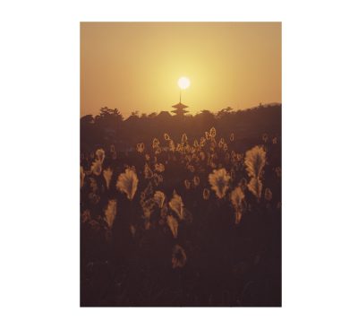 《斑鳩の里 法隆寺の落陽》 小川光三撮影 ©飛鳥園